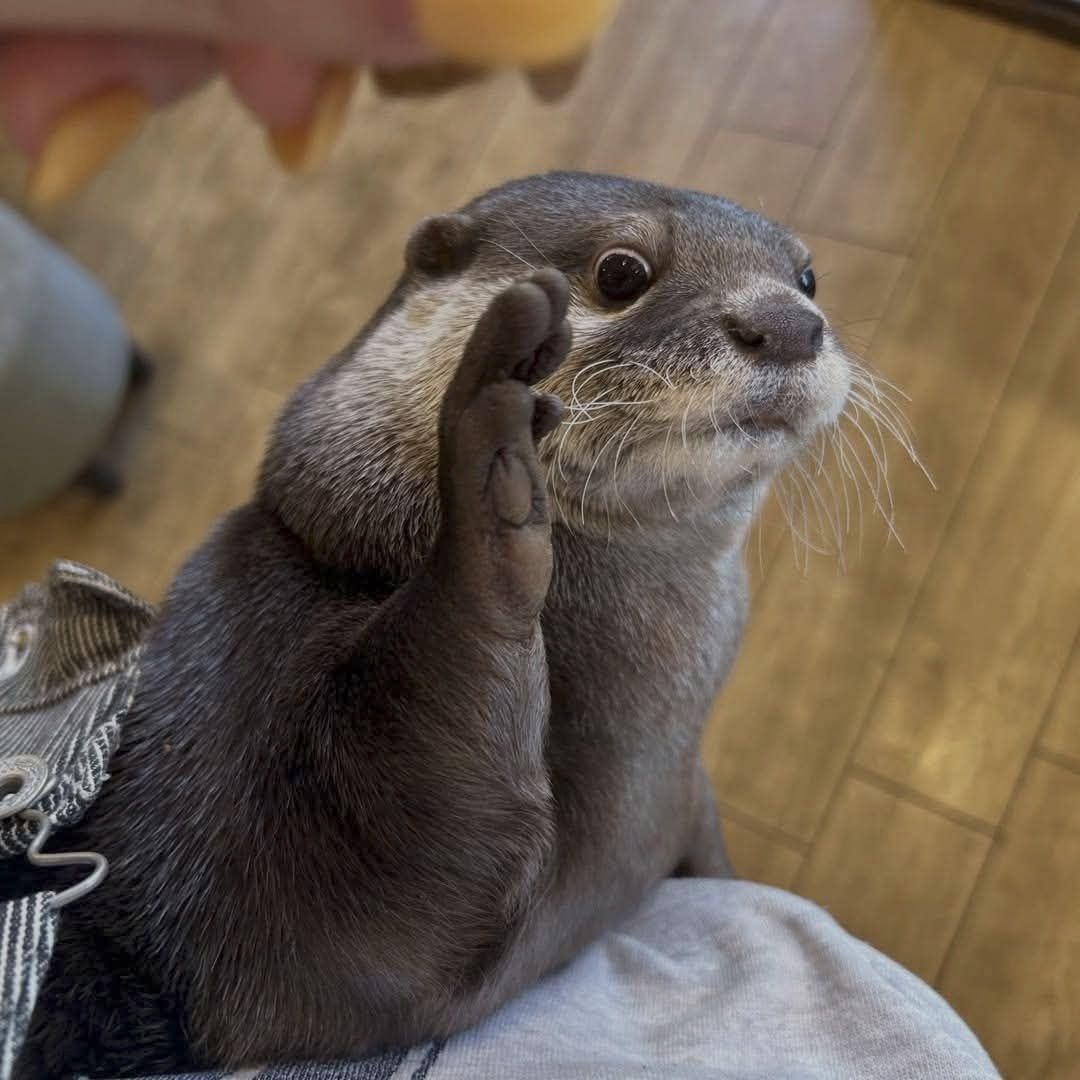 f1c99078-5980-43b5-824f-789d002eea29