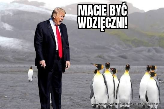 be3bd0e8-6235-4038-ae61-1b79097cea99