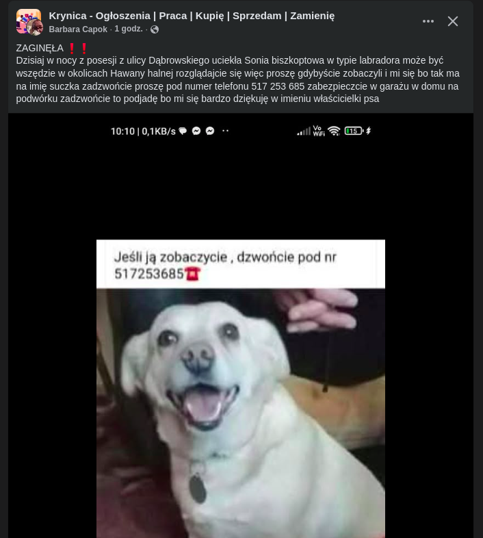 b387fbc2-a215-41a7-9390-8d4449df4f80