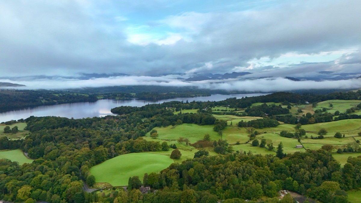 11b00981-146d-42f0-a7d3-6a7caa705e35