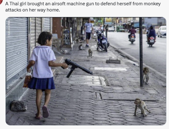 ba468911-d30c-424d-a6cc-054c2593bf51