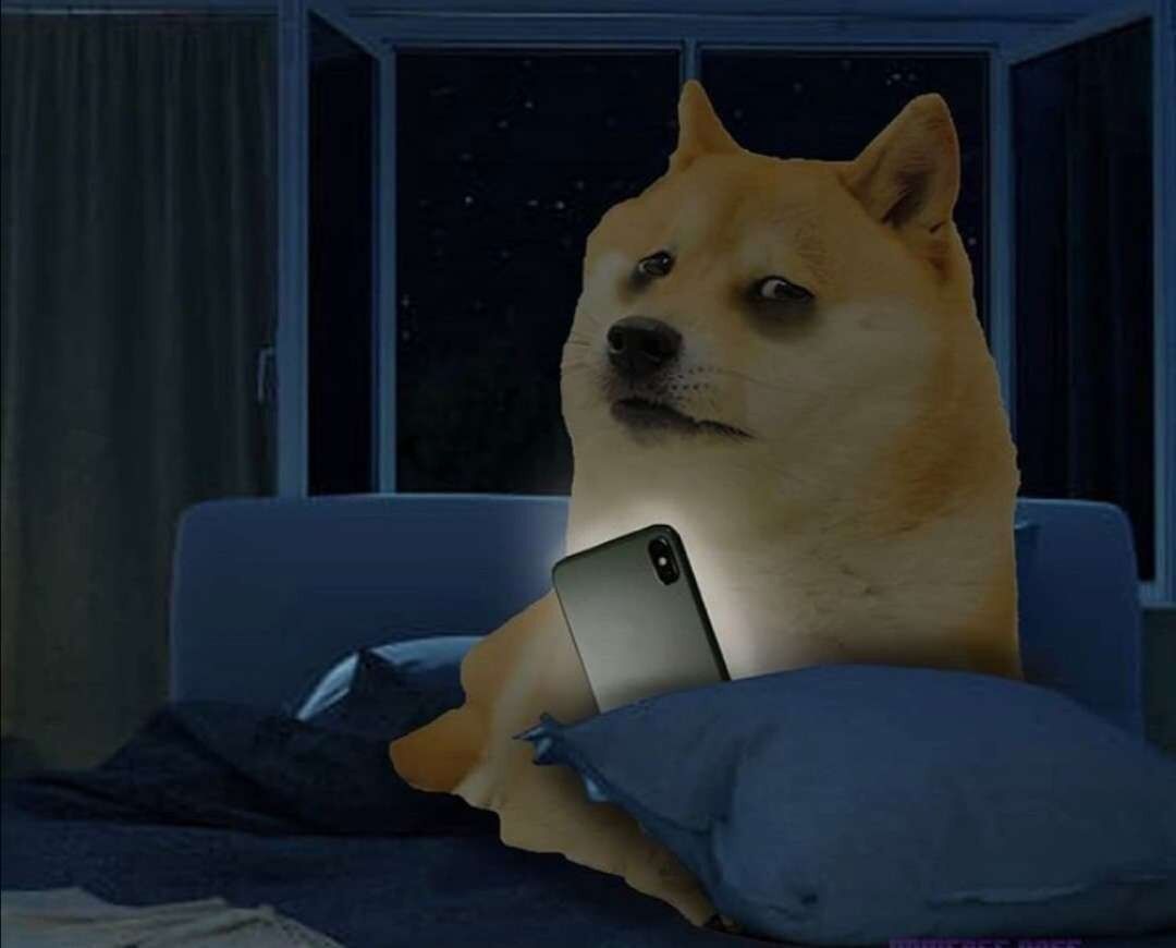 7694b338-589a-4d64-bbb5-ed05e88758bf