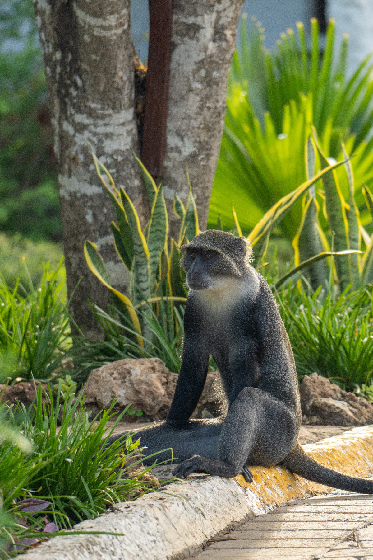 58ff028a-f54d-44f3-94d6-86ffda8c3f9f