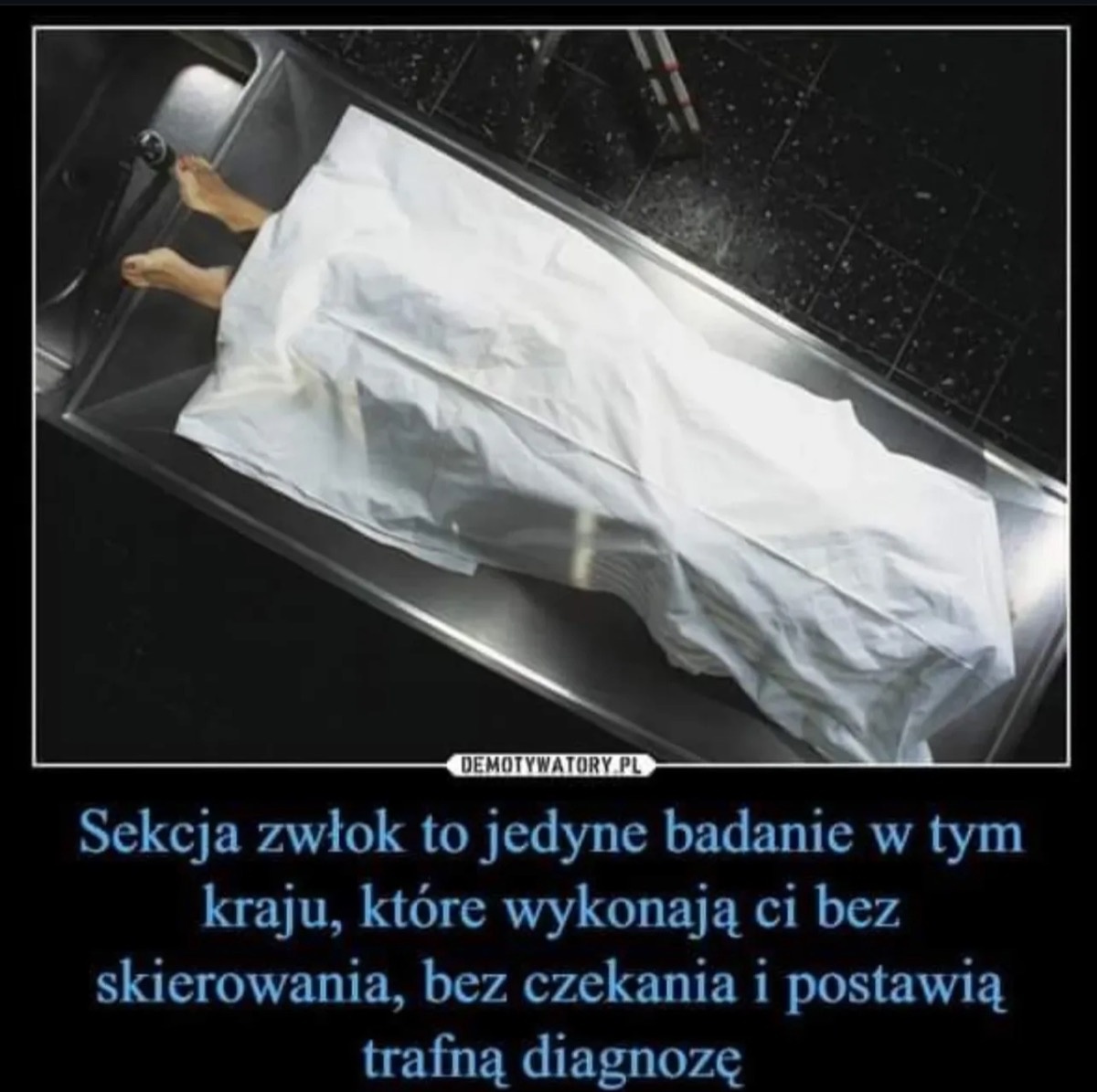 bcb3aec2-f08b-4737-921e-51f9dd276ebe