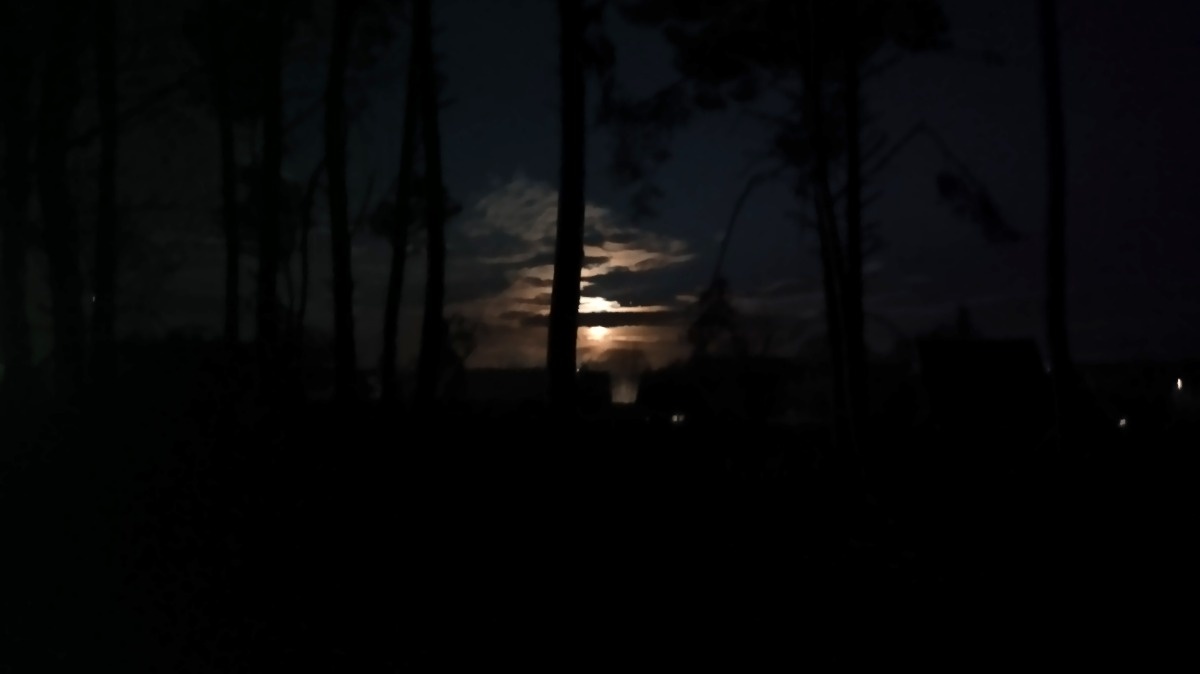 3a81bd11-c525-4ef9-b37a-a58bf7182464