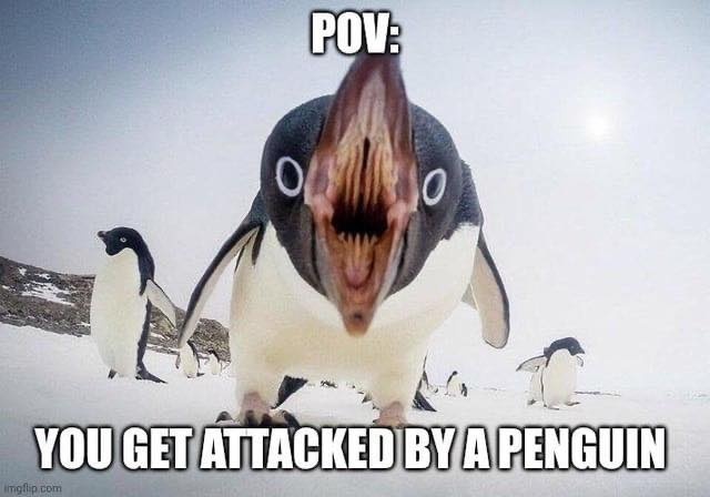 e726745d-a5ba-4661-aa4d-83b8ad1cbec7