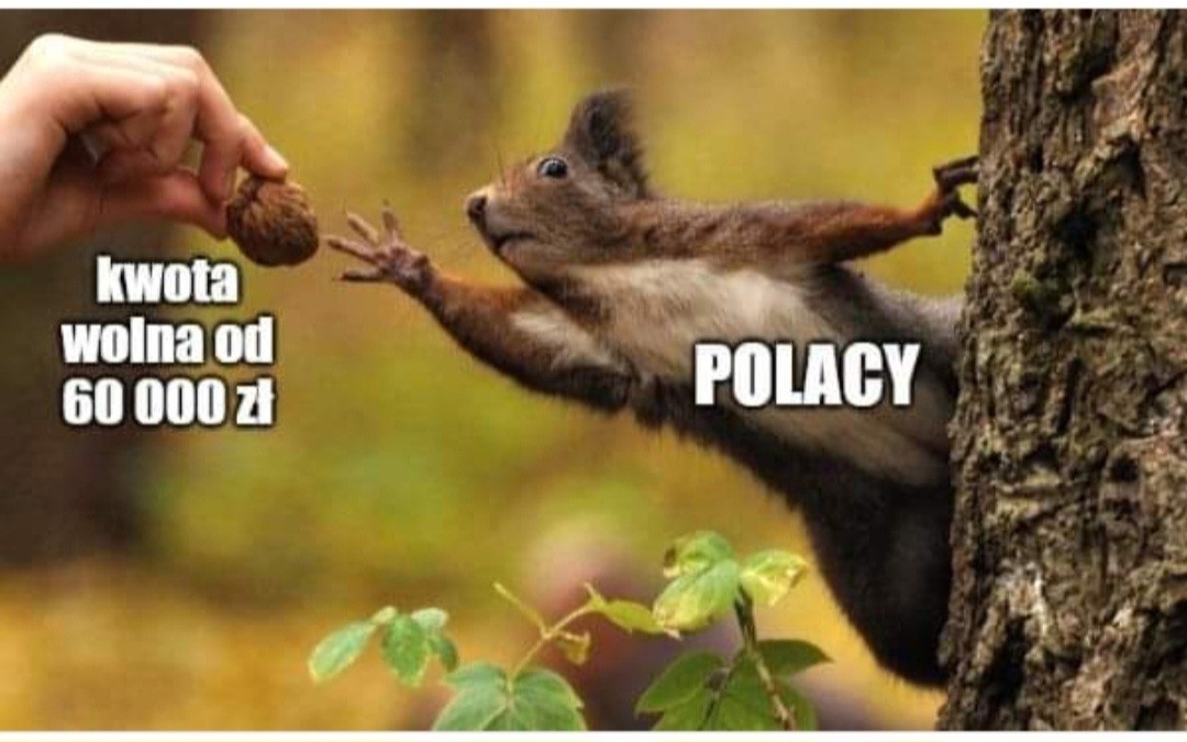 e34e85c6-8c48-4751-984e-71939102c280