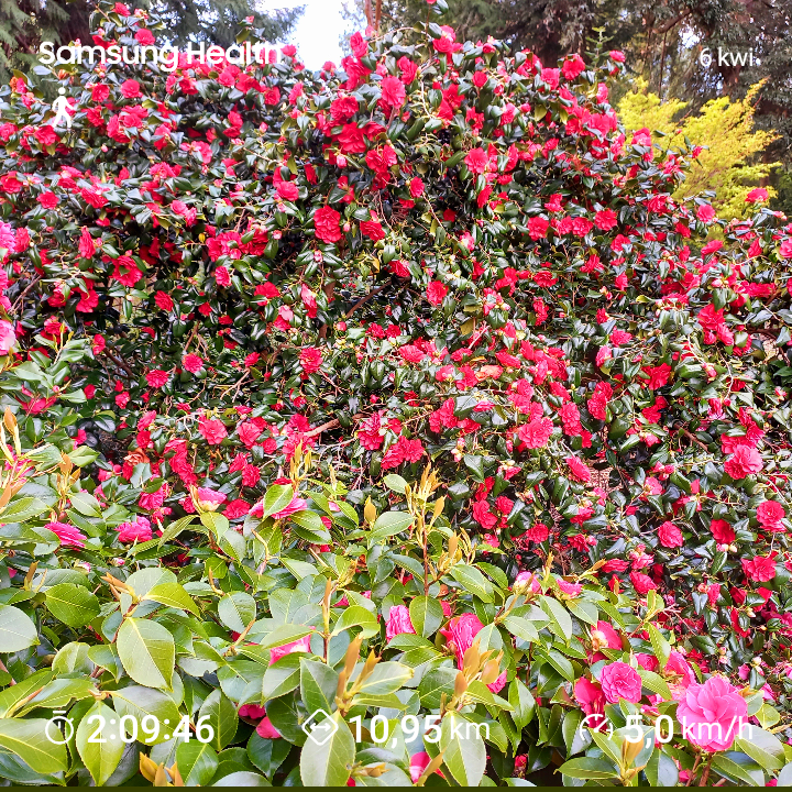 b332a104-7357-4624-af9c-9f9b6634871d