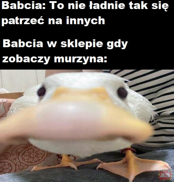 1f0babd0-afdc-498b-8a86-0a4f92e9fd5f