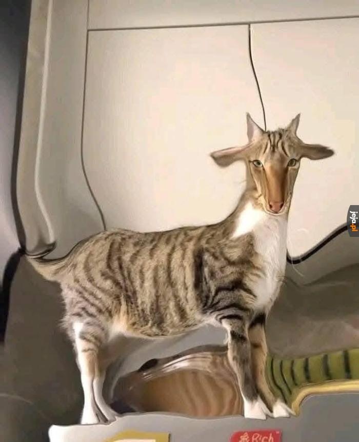 fc46aead-c5cb-4f5c-bb5e-6e20bd3f5f36