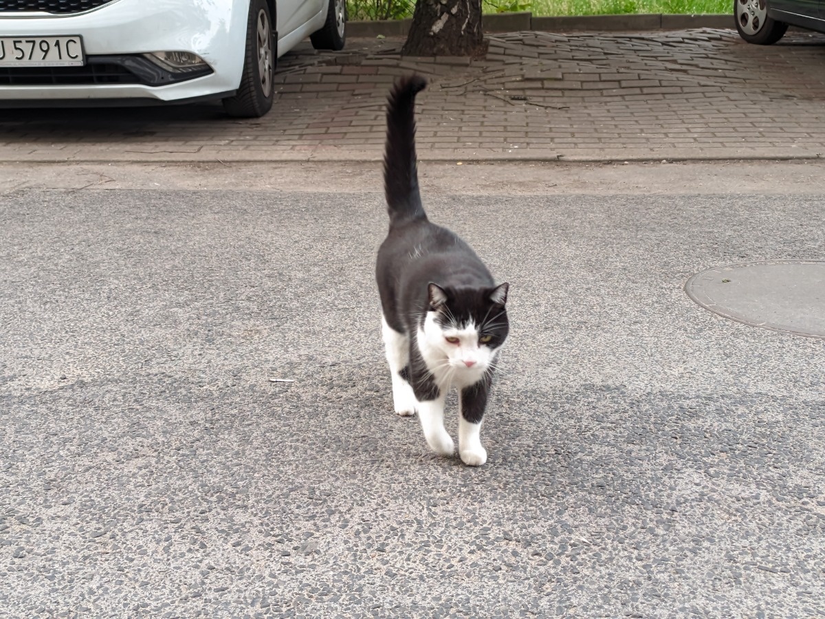 96dc087b-af36-4ef7-a4b8-022bc5da01c0