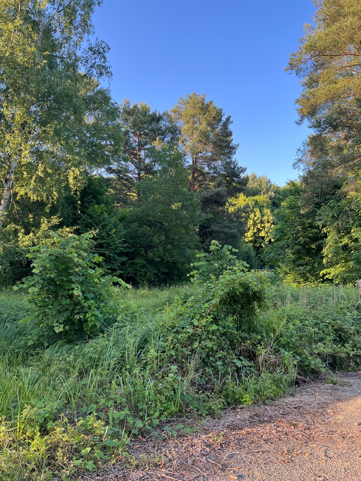 54a417c9-9af2-4d7b-bc34-0754c848ea42