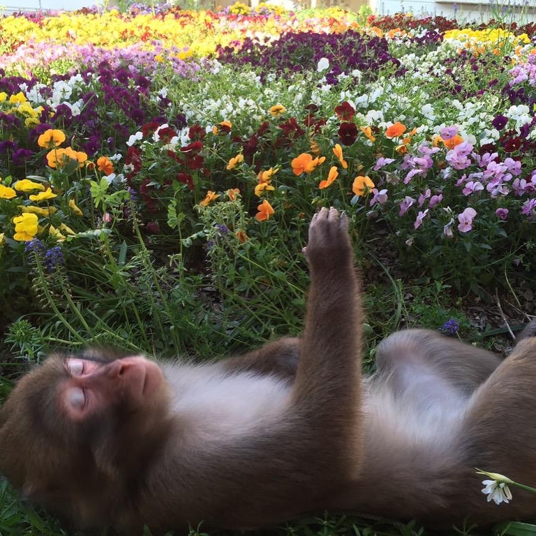 317dd63d-f7ac-4e1a-b342-63ab1a4169bf