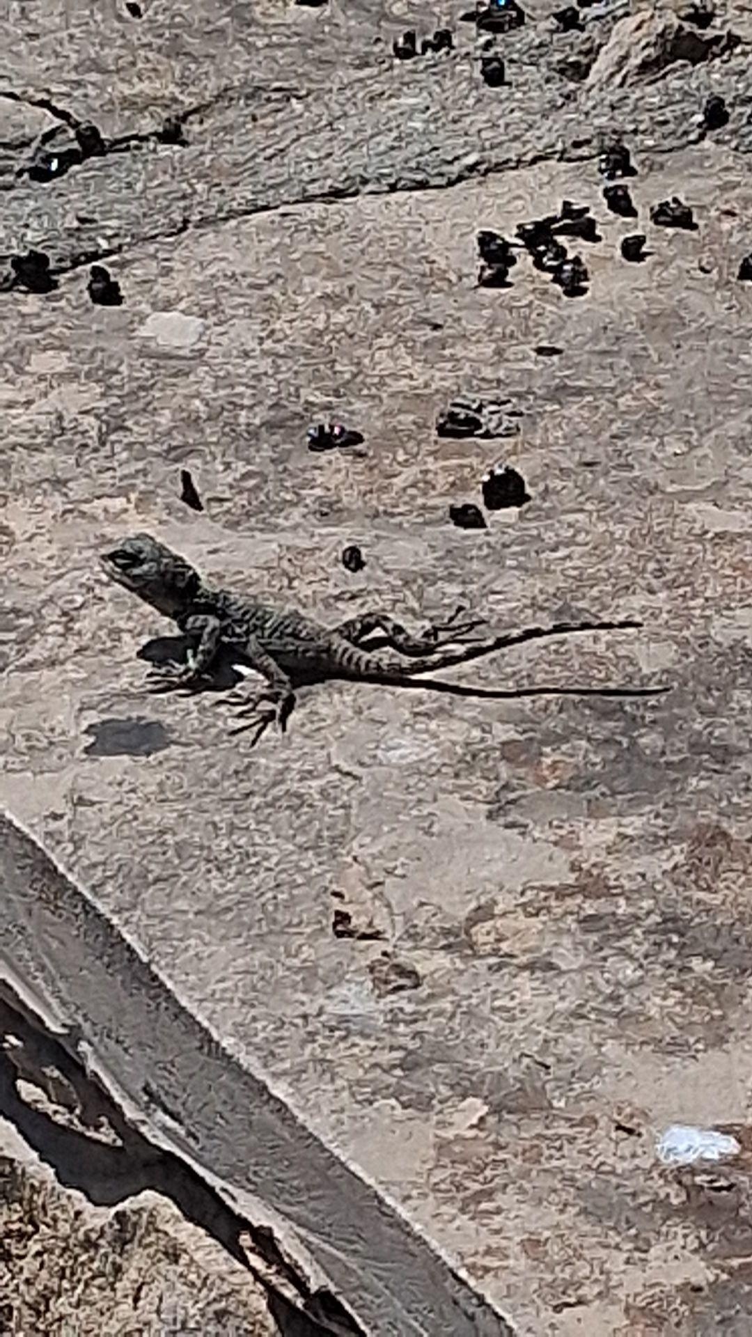 bc28e959-7880-42c1-9c44-505779ac932f