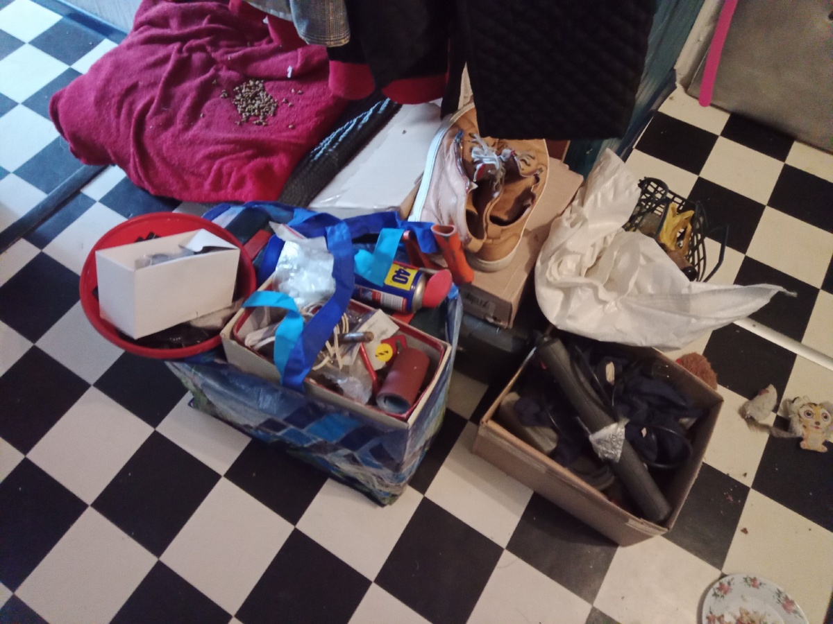 a4e83ffe-ca01-4212-99bd-53ce0595287a