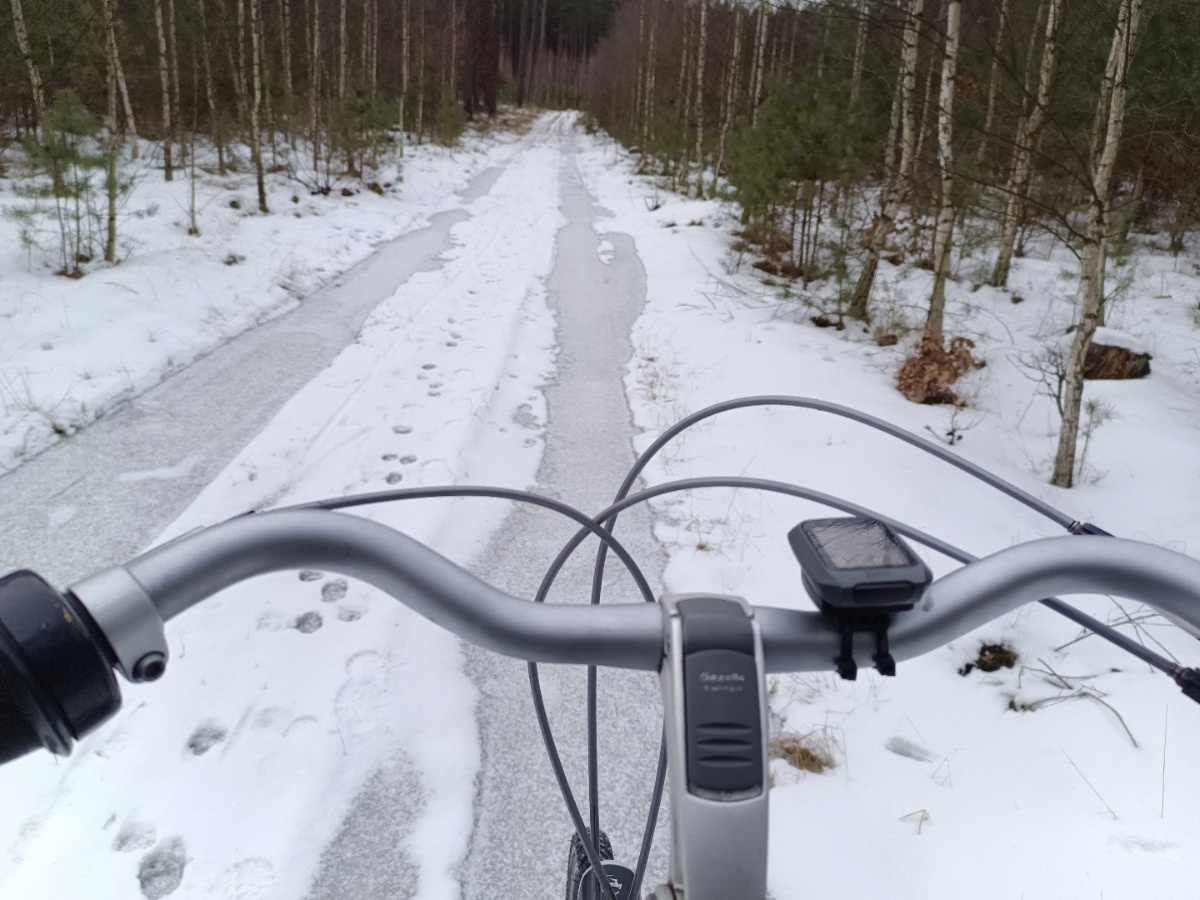 bab10da0-95ce-4b2f-ae95-45344fa13f10