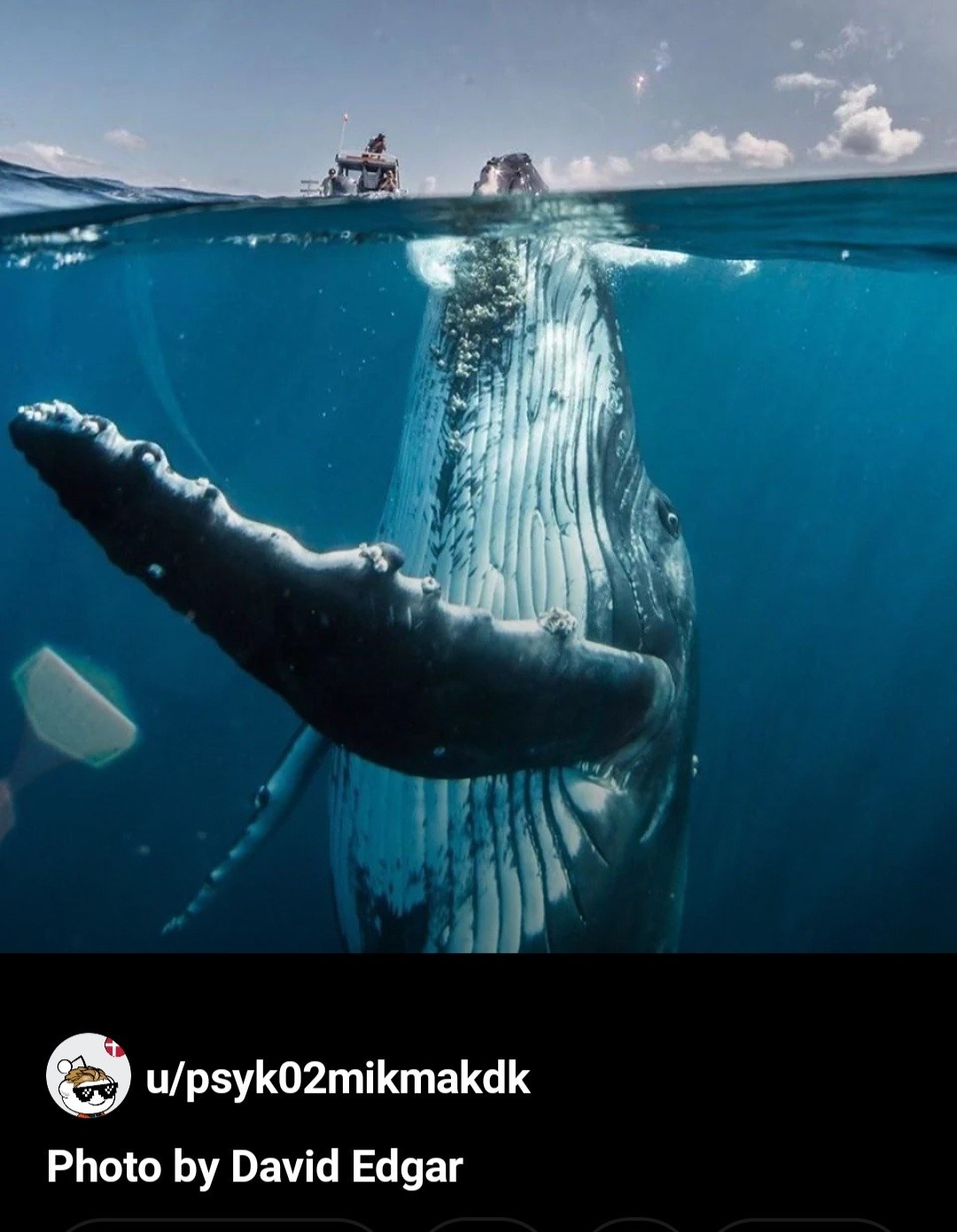 c796df66-856c-4aa1-aba3-6c743be6f913