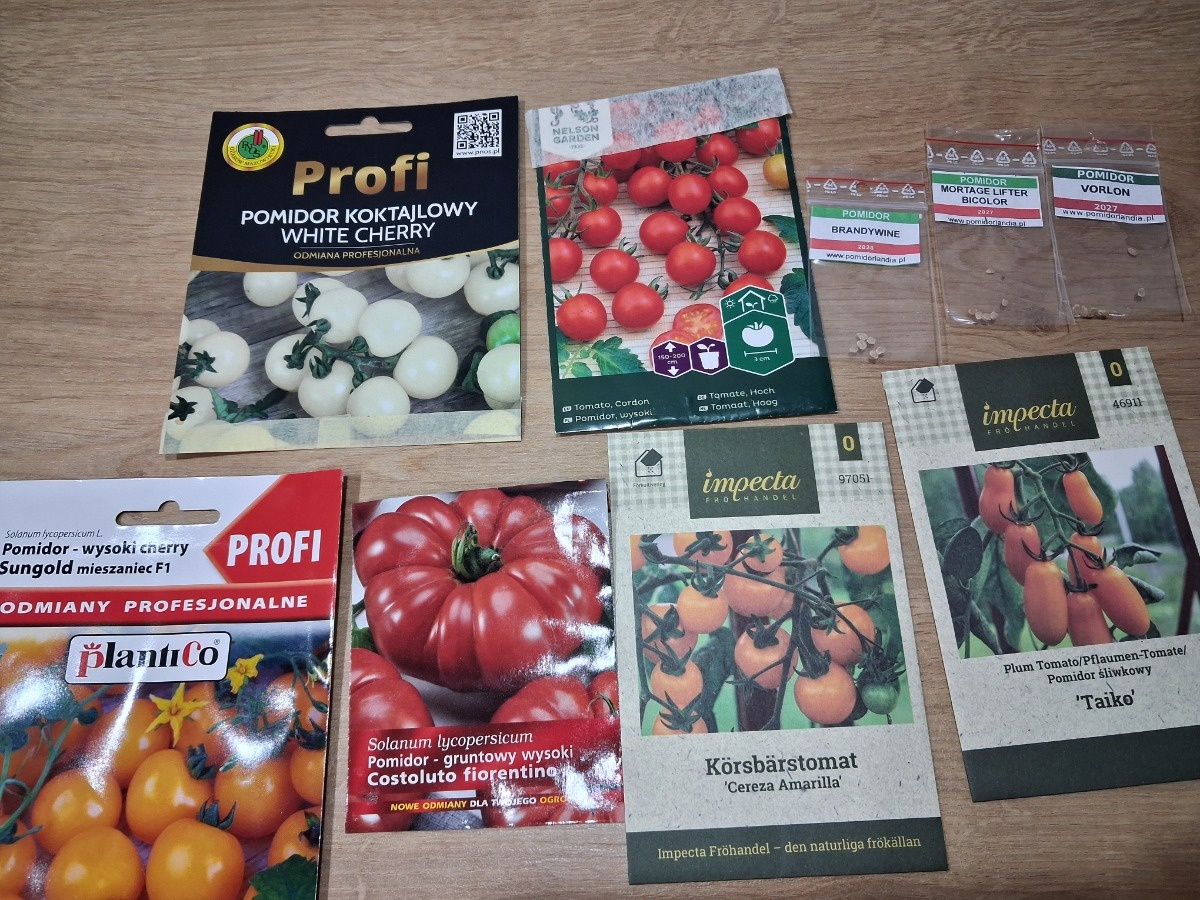 11f76b2d-5eed-40df-b565-8c7173a5e631