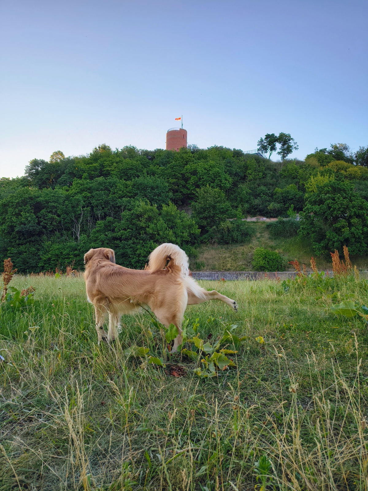 74005bb9-f758-4b83-88bd-cb558884dfa5