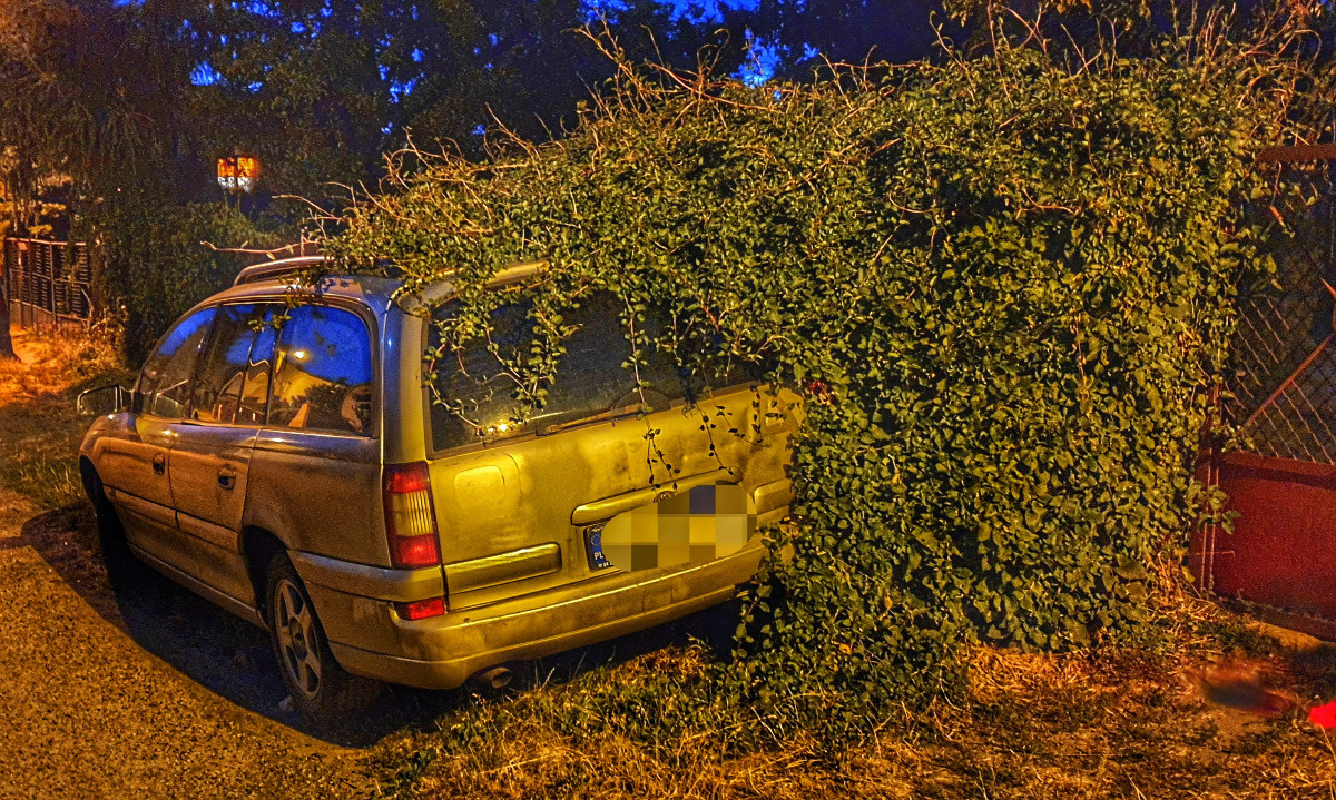 1f94dc19-f45c-4fe0-ab15-2dc830e00e96