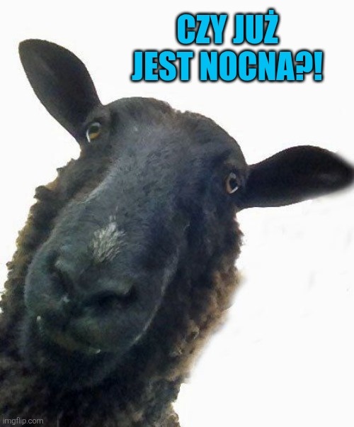 5e328f16-df9d-4e05-9eaa-0b900ca219dd