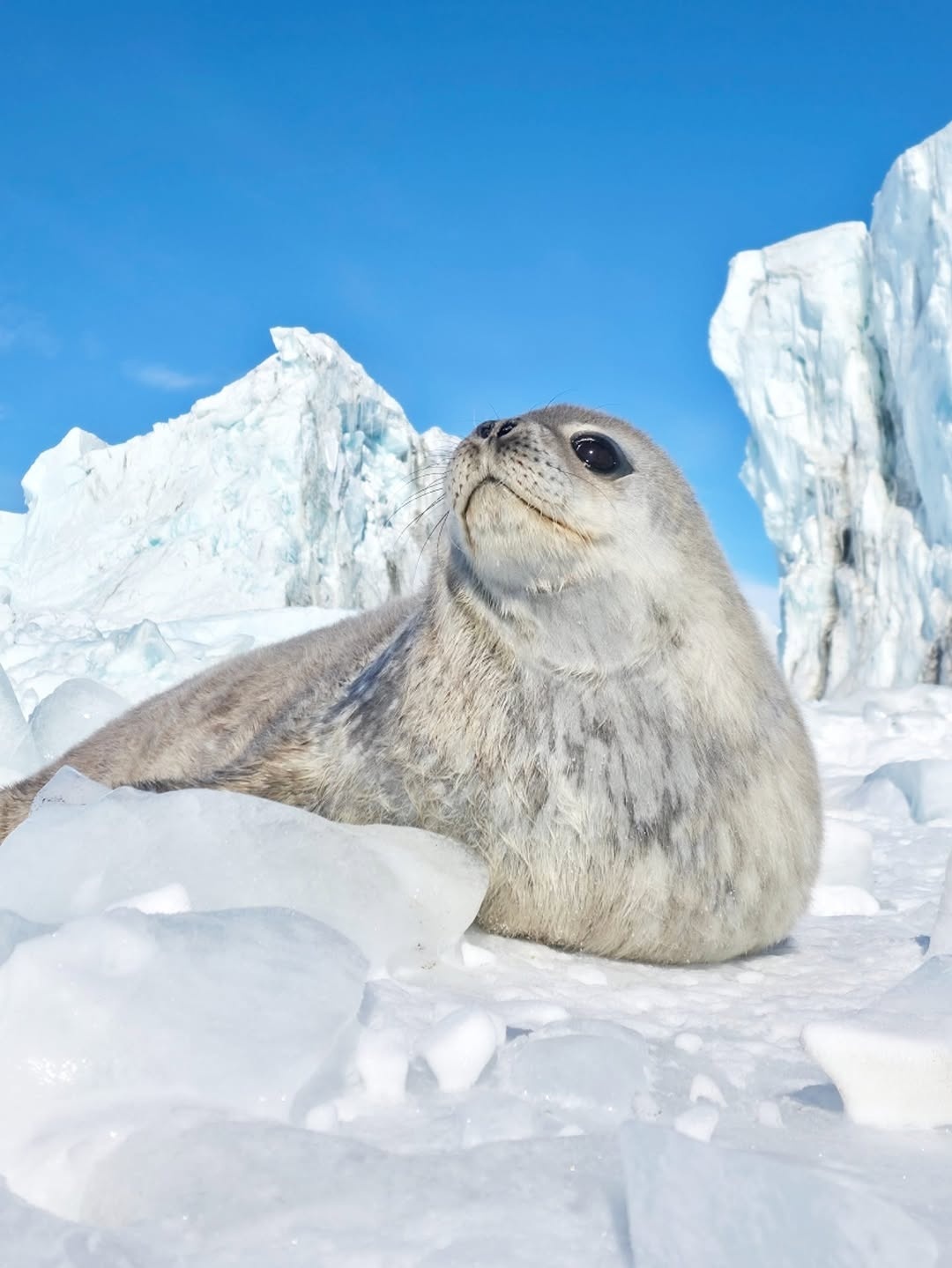 0a1112c2-28a4-4955-8920-957a8a9be846