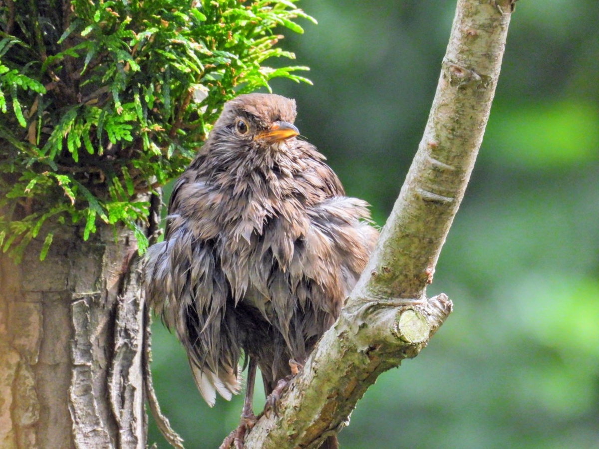 864add31-cf66-4d56-b6f7-26066c7af430