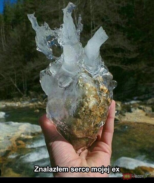 91ea37ae-c25a-42f0-bdd9-a9b36096c58c