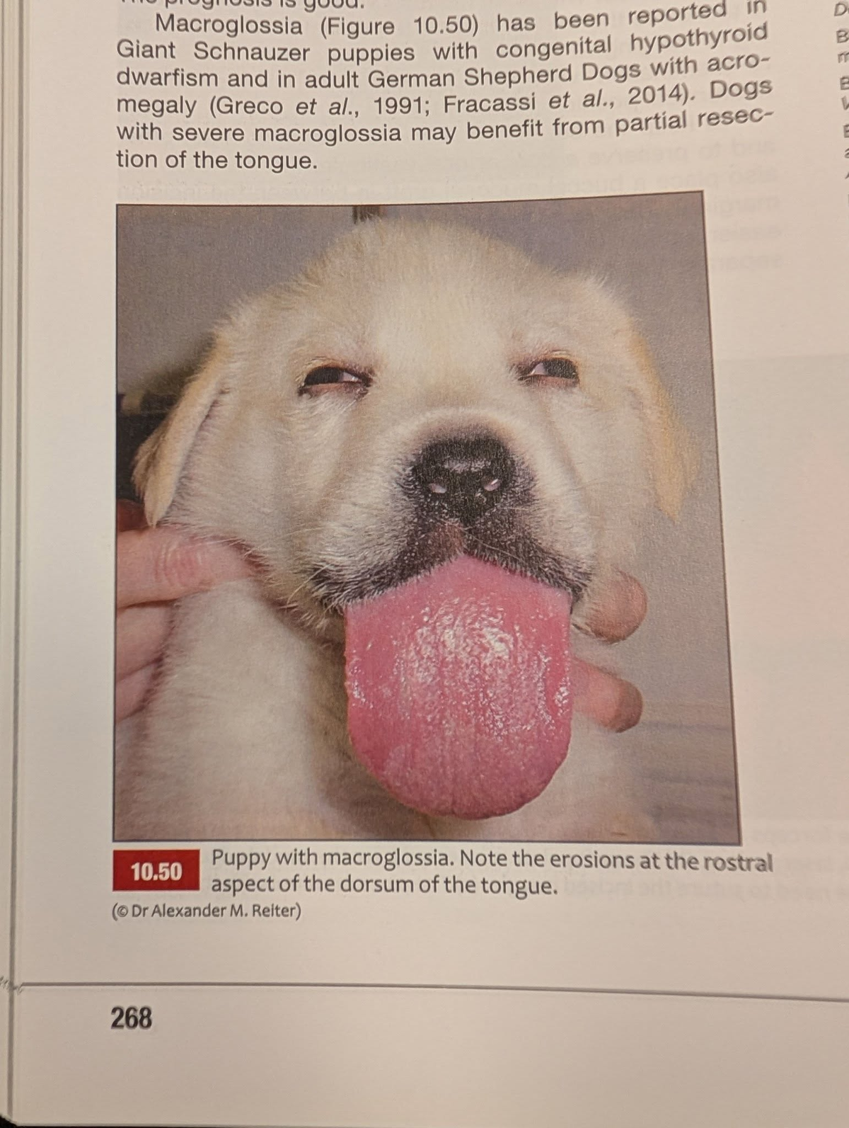 ee713558-6e8d-458f-840b-be606a9e7f02