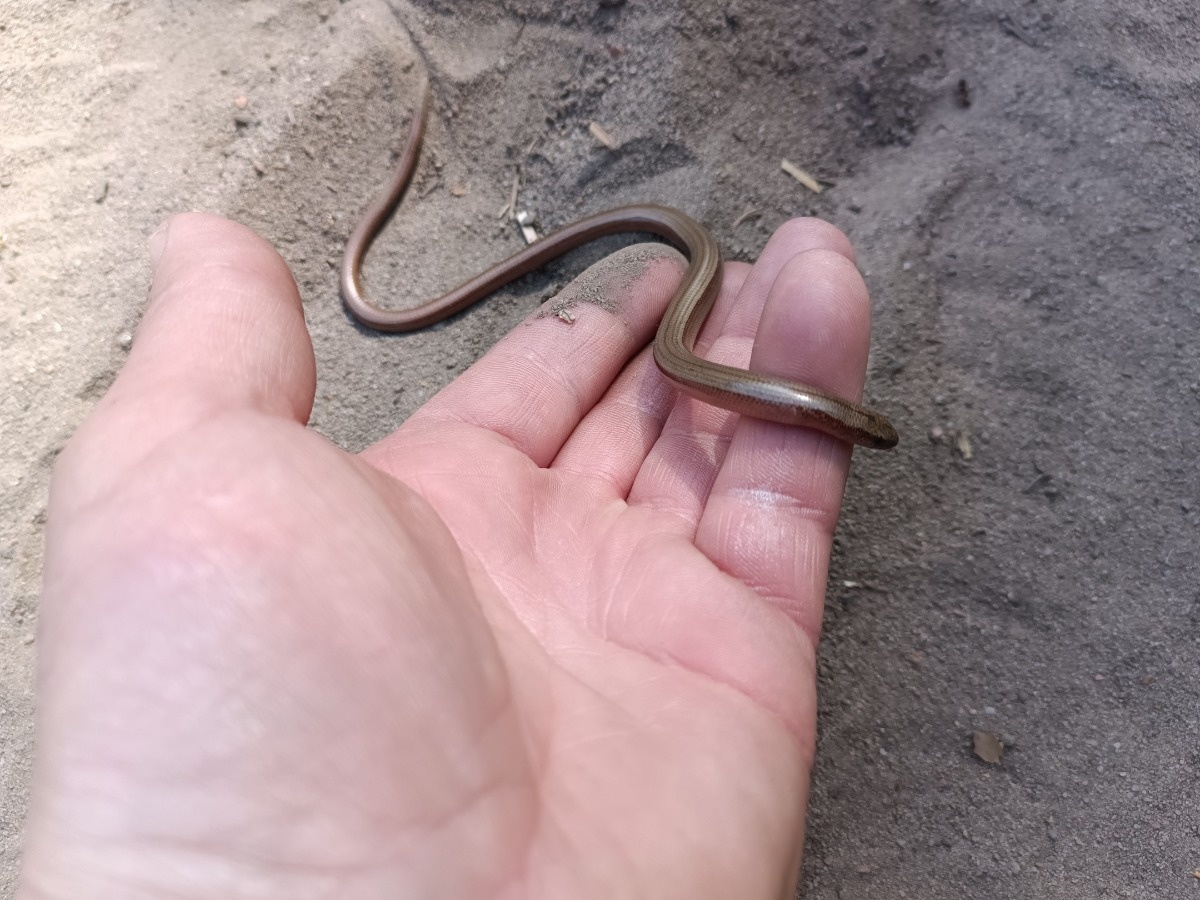 39fda22d-257a-451c-aa59-c0368e86097e