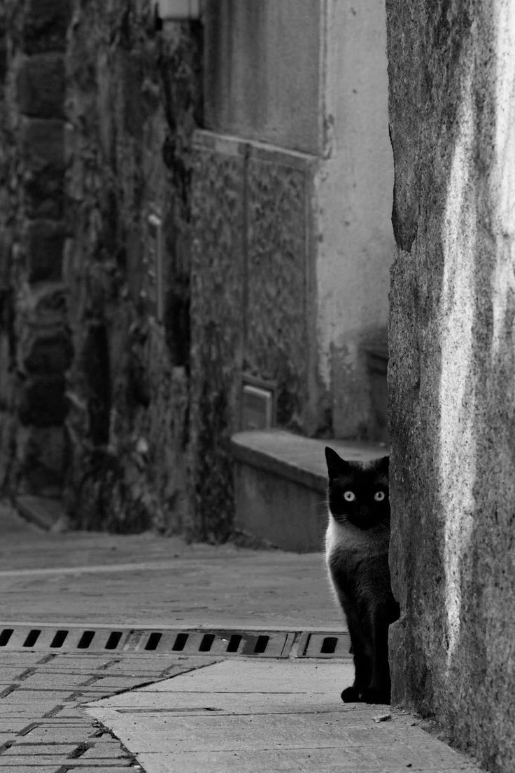 b7725117-0f07-40bc-b01b-b74b80862ba6