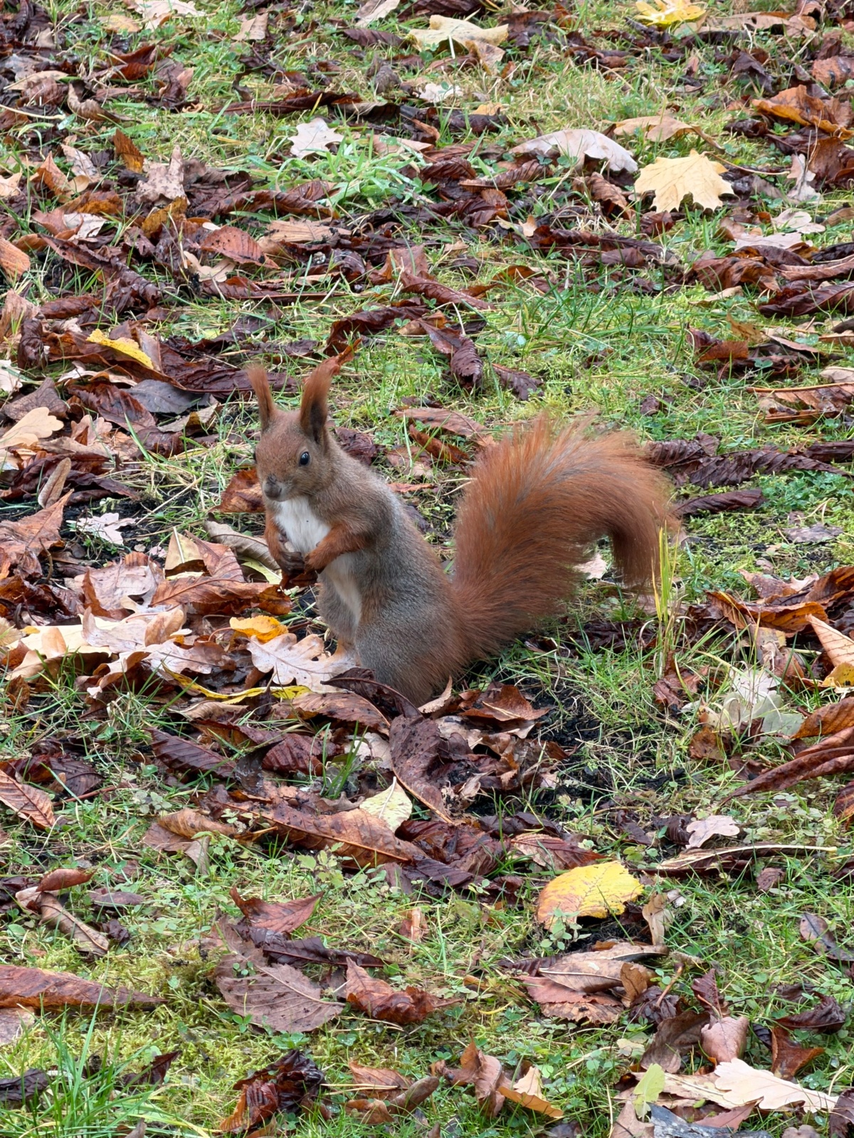 a990ae11-5bad-4b19-90b3-a6e7636bcaf4