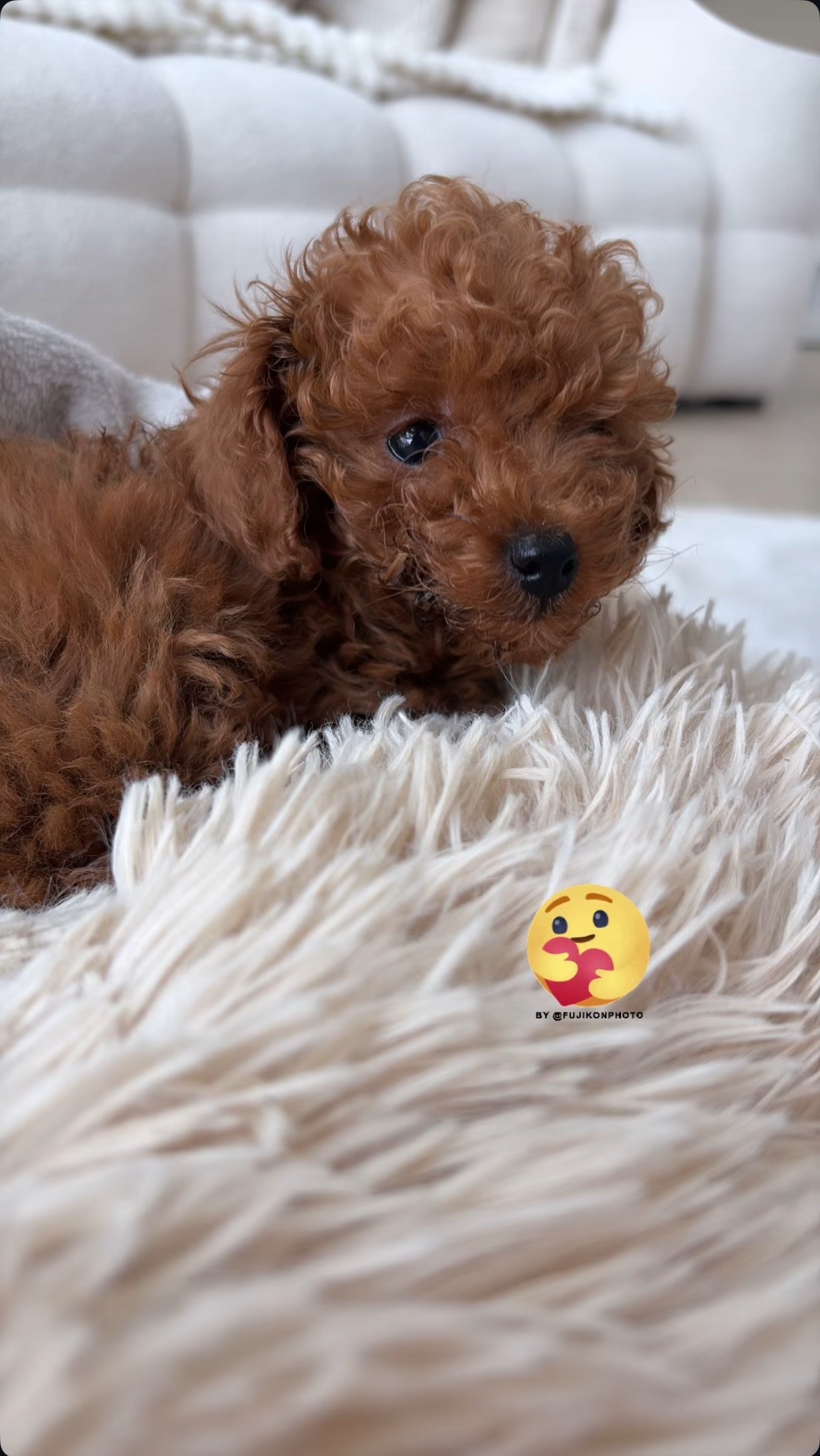 45130433-505d-487c-84ff-722d13178694