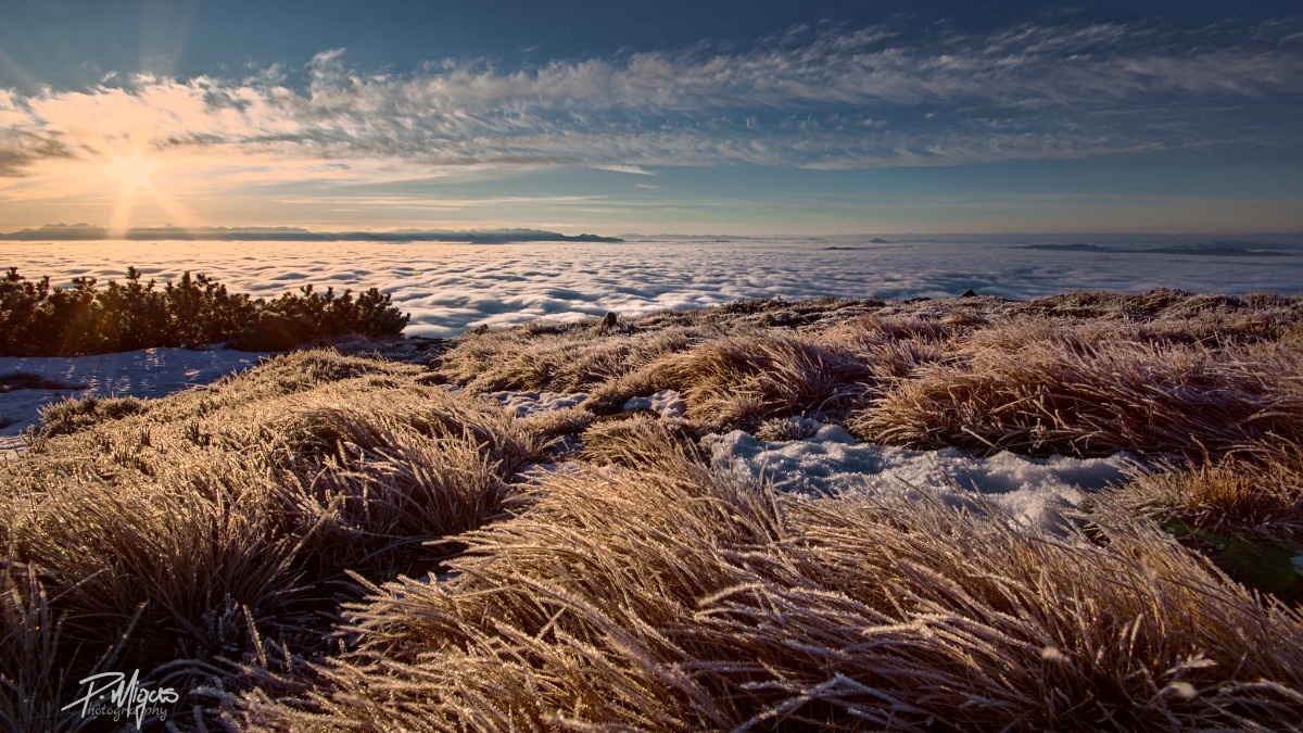 3be4b6d5-3639-412b-aee6-48dbb67d9f0a