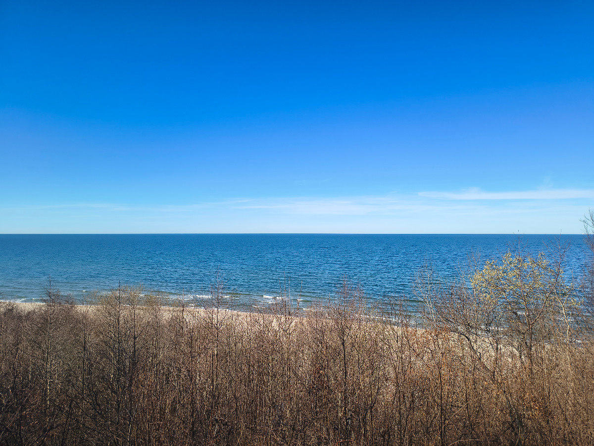 5928af4a-f439-4671-9b10-1927f7caa202