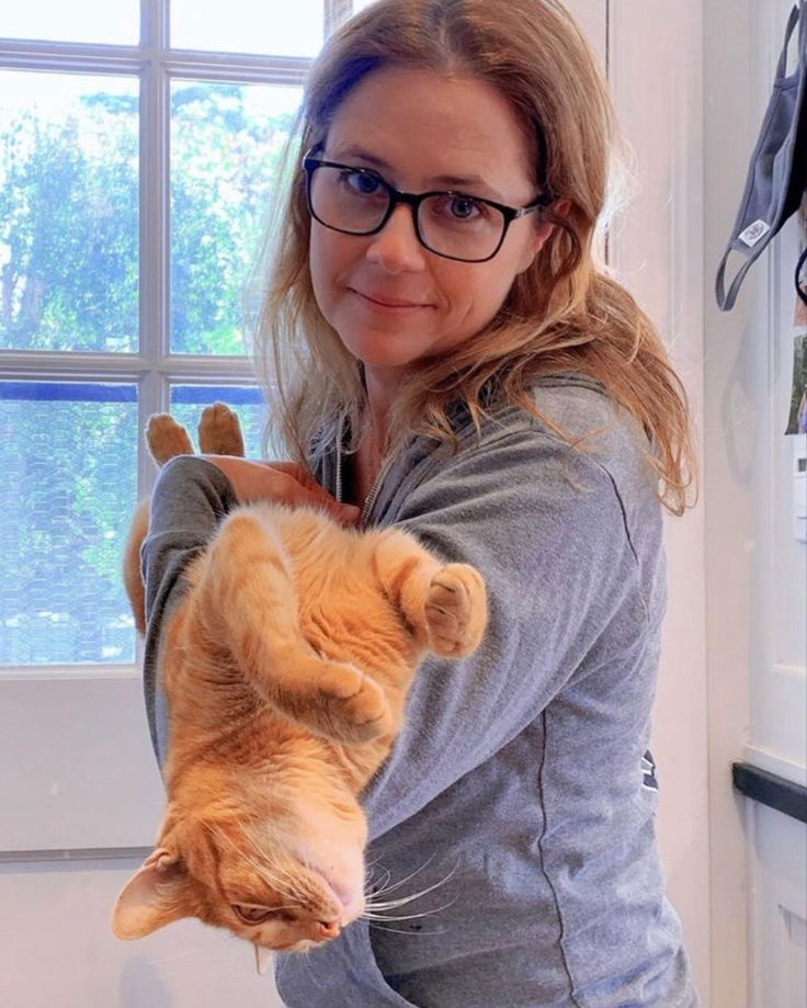 eb7f0bbc-38d4-4453-b790-880f61955e75