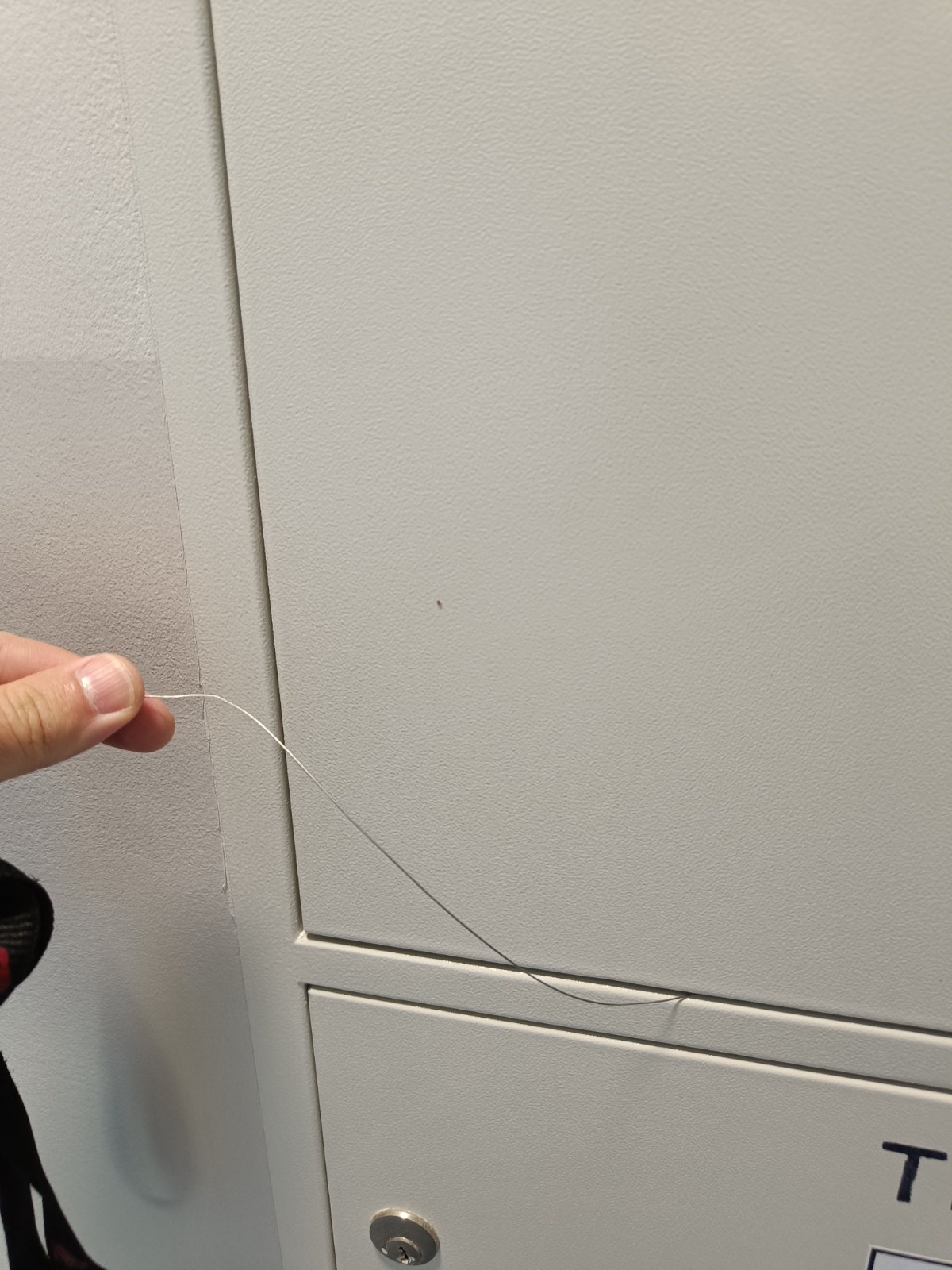 121636c9-1c94-4e4a-bb39-0471910cbe98