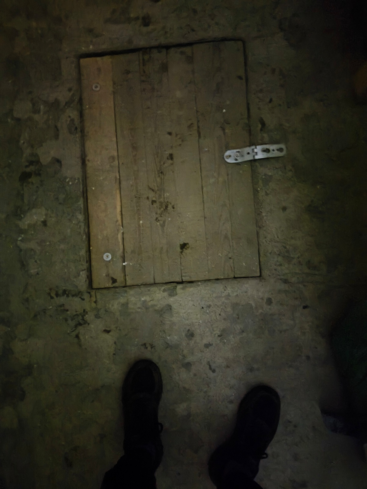 f8e49d73-4210-45e3-b12f-bfd364195d33