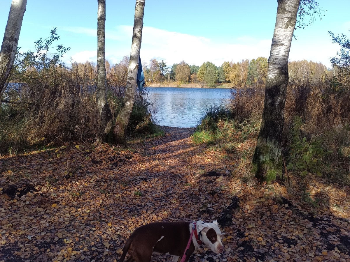 da80f551-586c-4a33-9c18-5125f2493cd1