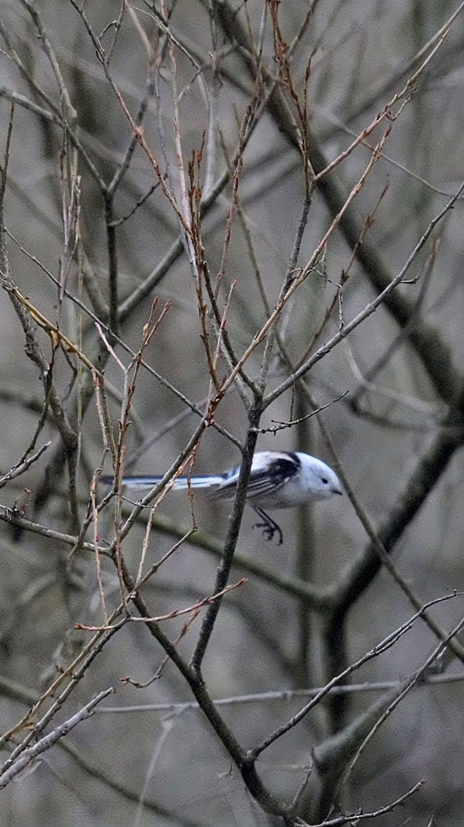 7ffe1a63-bf2e-40bb-8248-2235a0e0a529