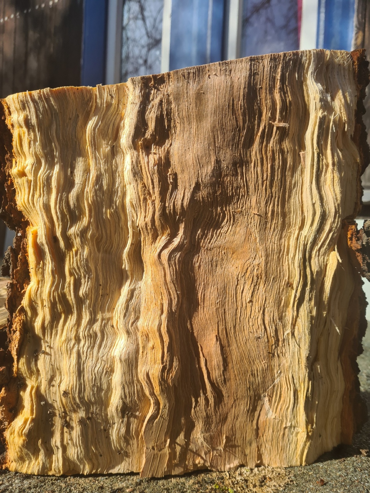 7ddadff3-ee37-40b3-8fbf-59a7d72dbea8