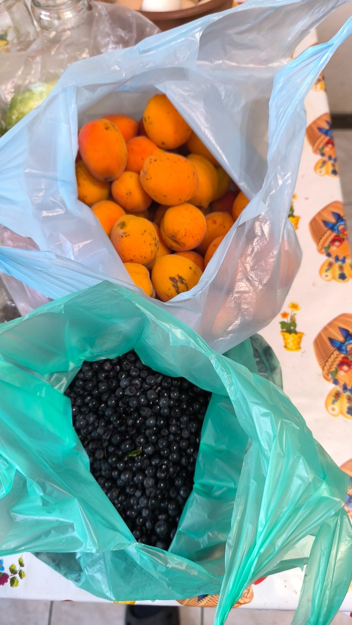 2876108f-8806-41c3-94c0-b756ec32742a