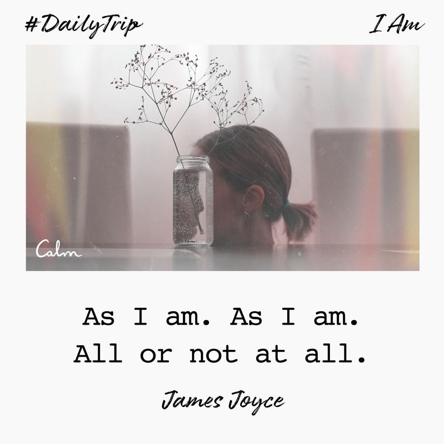 c550eac5-05ed-47c8-96a3-bf7b2160c11f