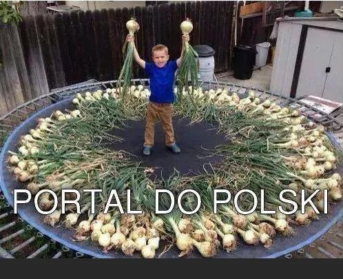 35ed538b-f65d-41e6-99c4-ed9a9e13494e