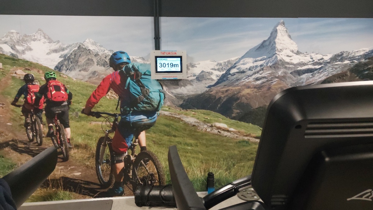 b13886af-54e6-42c4-8561-e3aab3a30d13