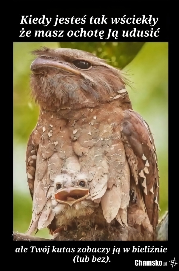 cb81dd28-d09f-4de5-82ec-df50a2a01a24