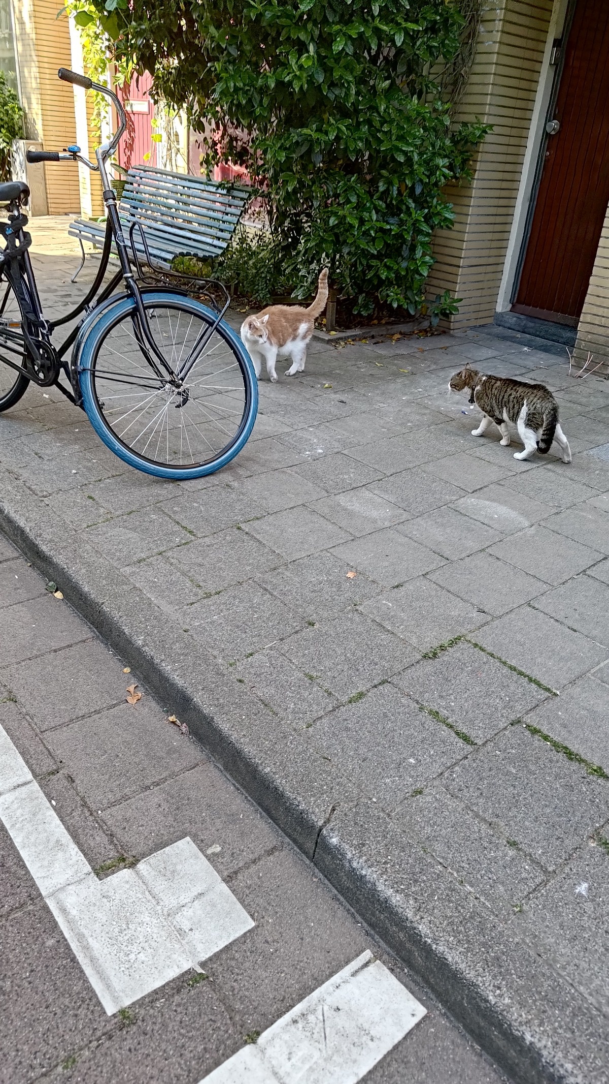 797c1403-d1bf-4684-8dc1-511299398971