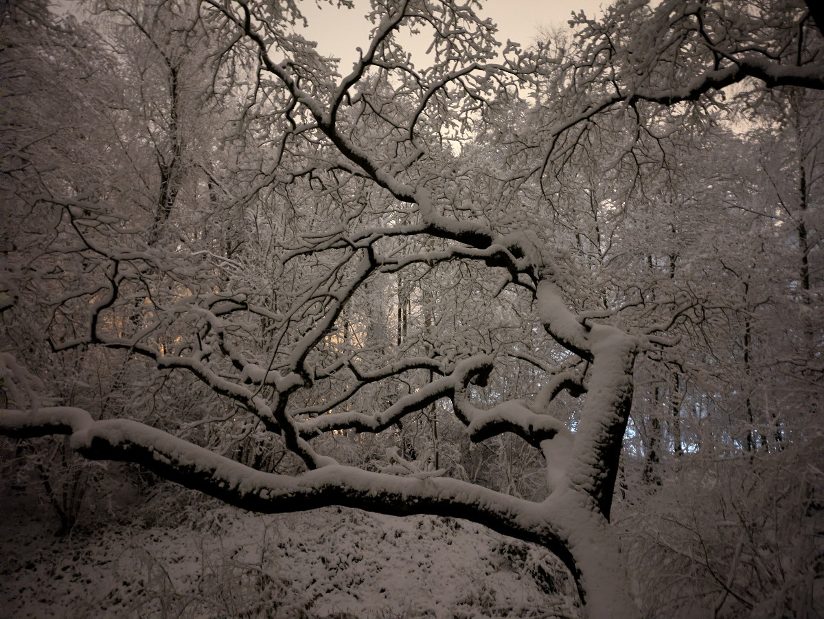 9194efc2-31bb-4b91-98dc-f5abb0c19d75