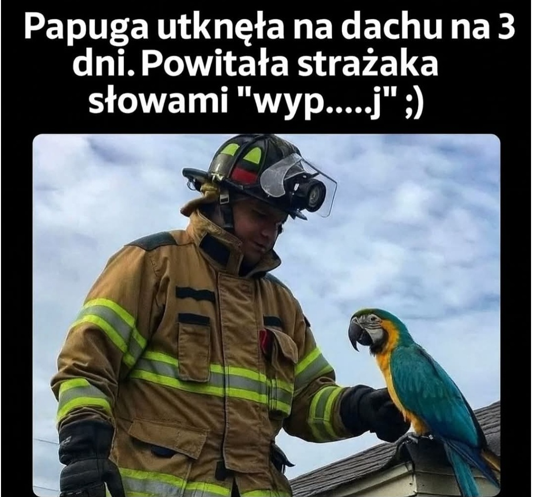 68b2c99f-cf77-406f-a755-9d1e75b16123