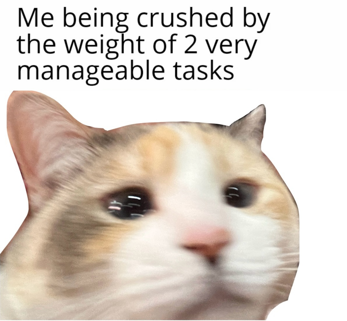 16d0e6ee-8f84-4a83-a47a-e587b1db97f2